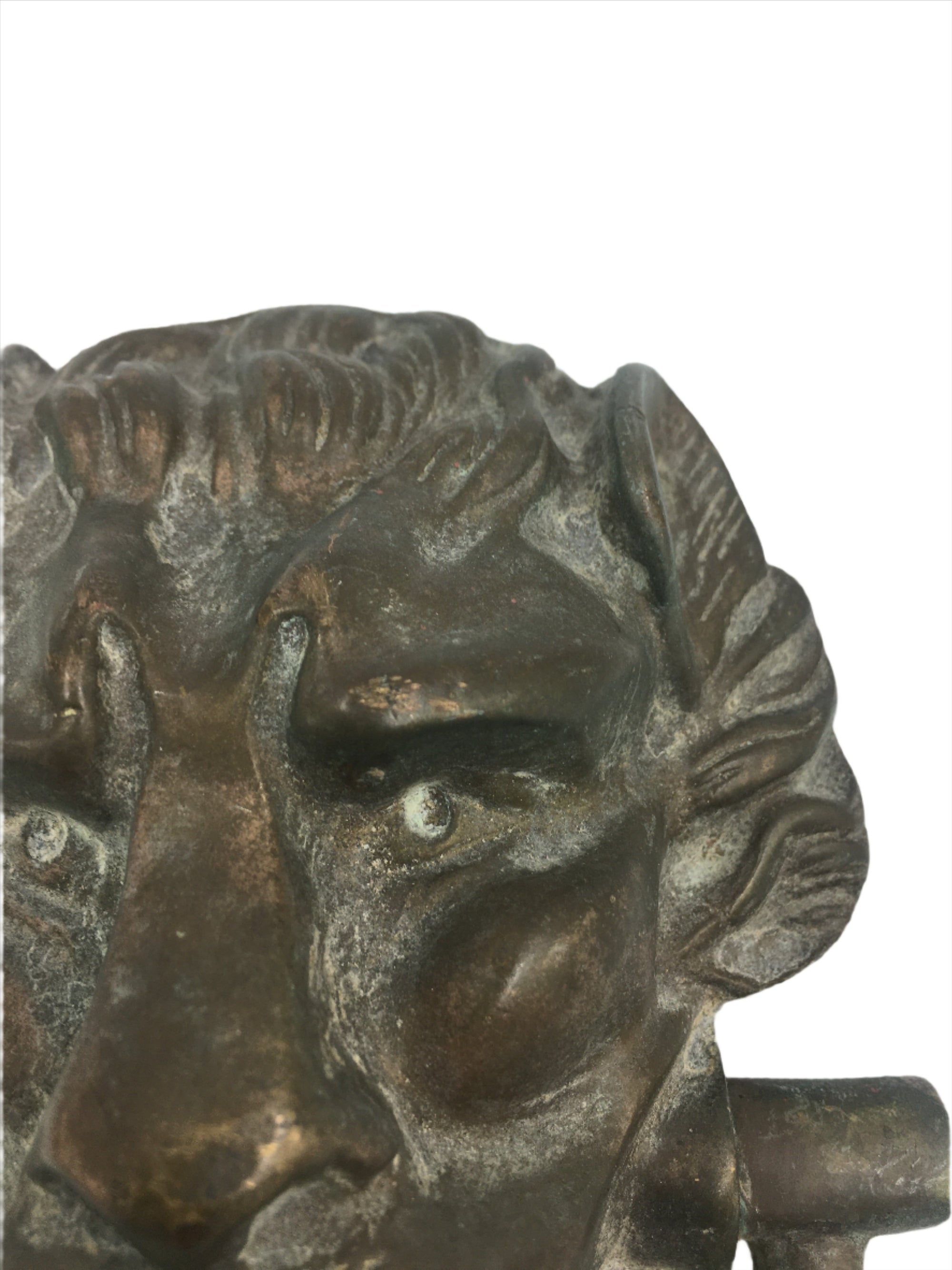 Brass Lion Door Knocker