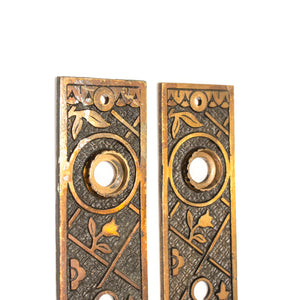 Ornate Victorian Brass Escutcheons