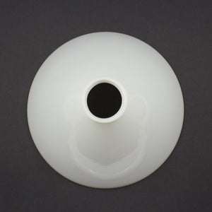 this is a bird's eye view of a white glass cone shade