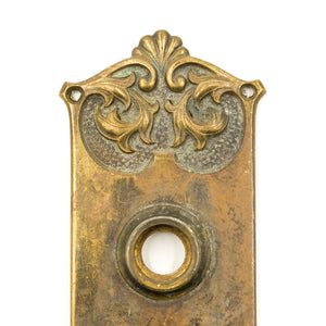 Cast Bronze Nouveau Door Plate Escutcheon