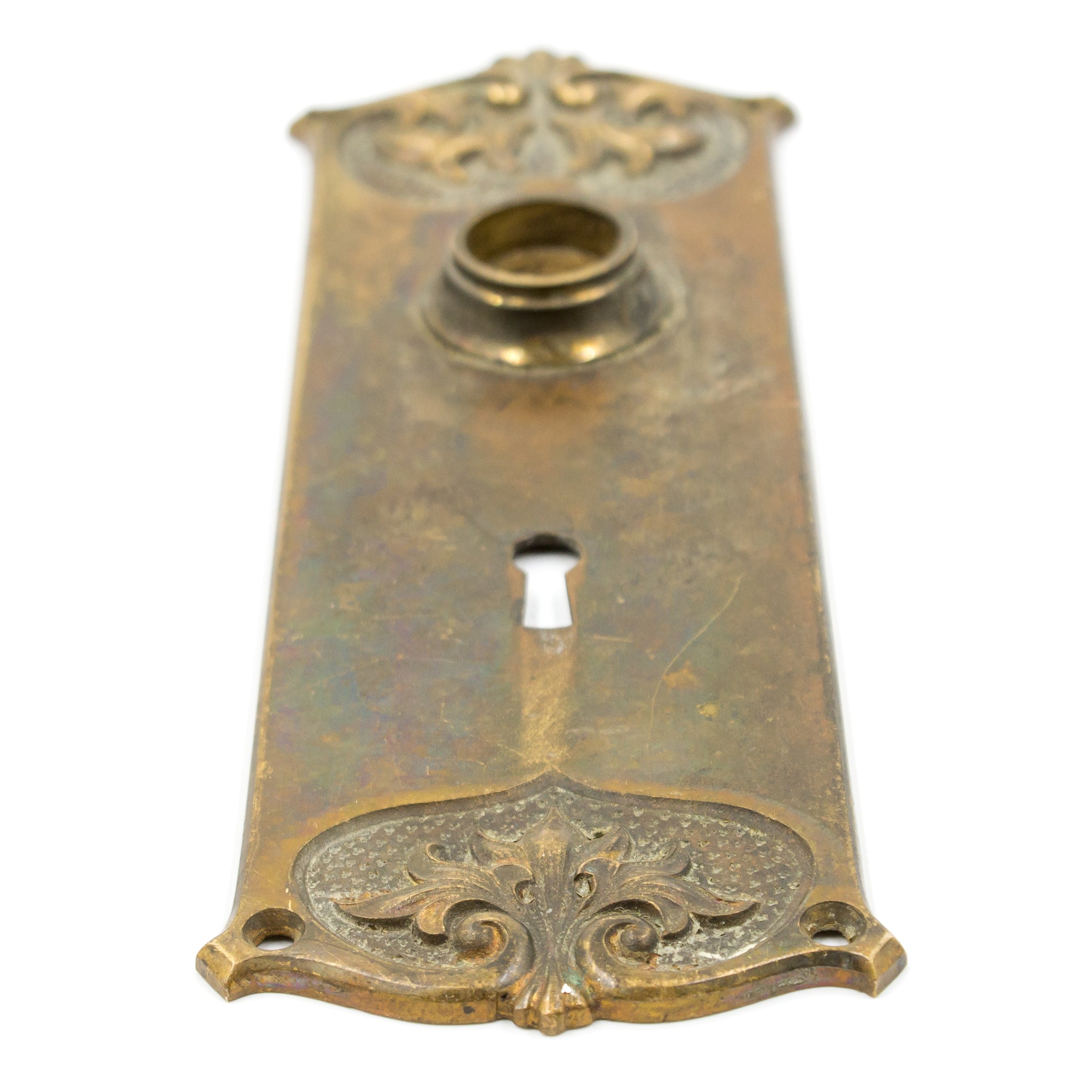 Cast Bronze Nouveau Door Plate Escutcheon