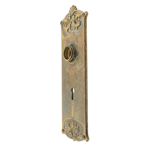 Cast Bronze Nouveau Door Plate Escutcheon