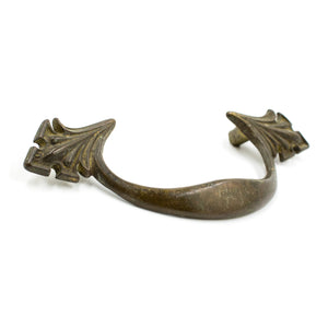 Nouveau Curved Brass Pulls with Leaves