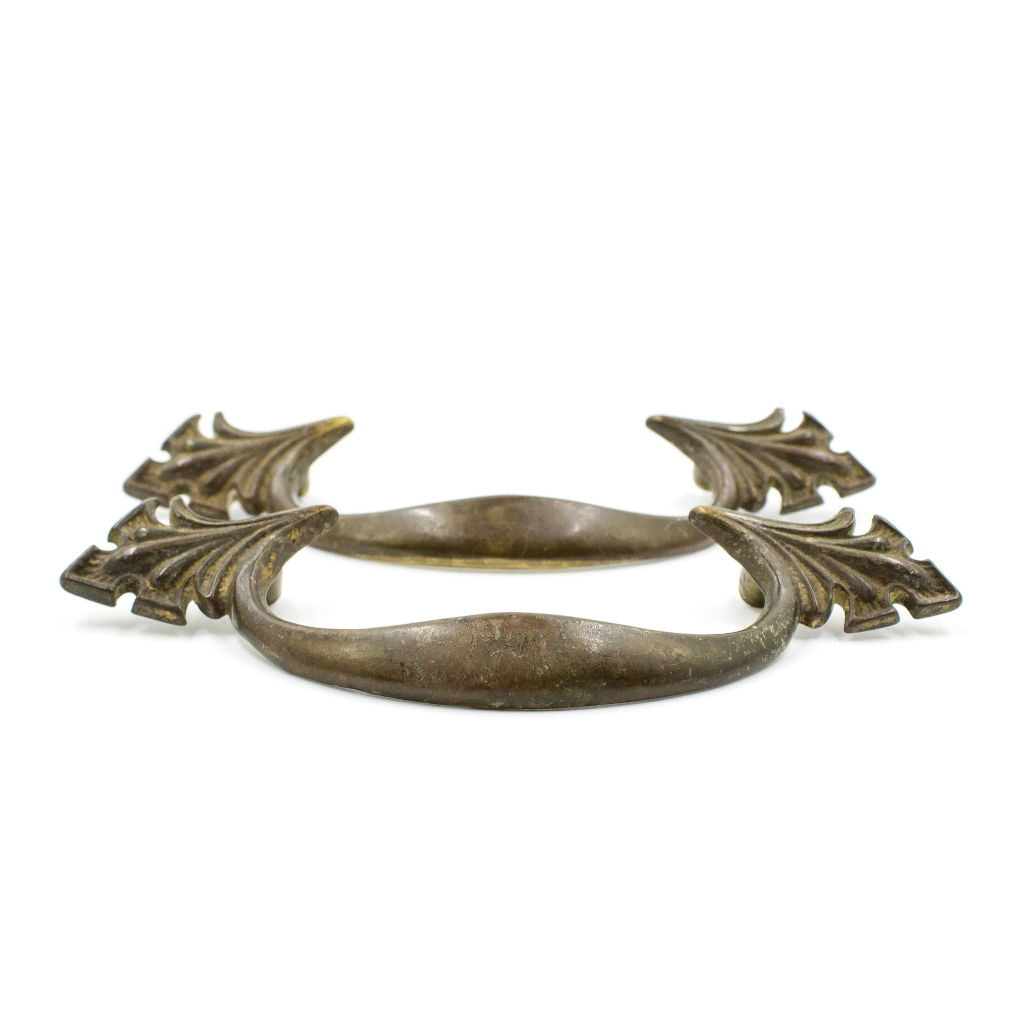 Nouveau Curved Brass Pulls with Leaves