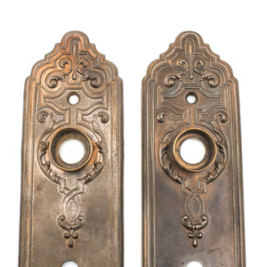 this picture shows the top halves of a pair of antique escutcheons